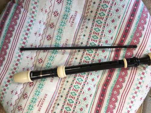 purejoy Soprano Descant Recorder – 8 Hole With Cleaning Rod Cloth Carrying Bag Instruction Music Instrument photo review