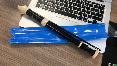 purejoy Soprano Descant Recorder – 8 Hole With Cleaning Rod Cloth Carrying Bag Instruction Music Instrument photo review