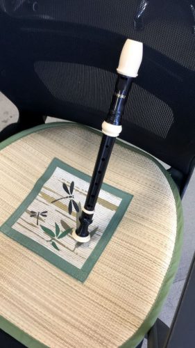 purejoy Soprano Descant Recorder – 8 Hole With Cleaning Rod Cloth Carrying Bag Instruction Music Instrument photo review