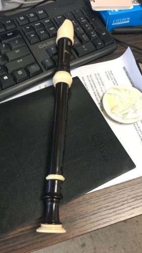 purejoy Soprano Descant Recorder – 8 Hole With Cleaning Rod Cloth Carrying Bag Instruction Music Instrument photo review
