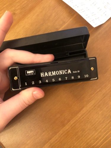 Harmonica-EVHA-20001 photo review