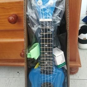 Ukulele for Beginners - Your Perfect Musical Companion photo review