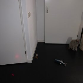 millbill Cat Laser Toy Automatic Interactive for Indoor Cats/Dogs/Kitty photo review