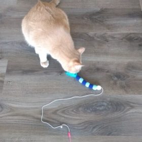 nicebands Cat Dog Chaser Toys, 2in1 Balance Swing Car Toy Stimulate Hunting Instinct Catnip Teaser Toys with Catnip Ball Toys, 2 Pack Cat Stick with Teasing Ball photo review