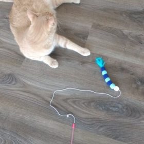 nicebands Cat Dog Chaser Toys, 2in1 Balance Swing Car Toy Stimulate Hunting Instinct Catnip Teaser Toys with Catnip Ball Toys, 2 Pack Cat Stick with Teasing Ball photo review