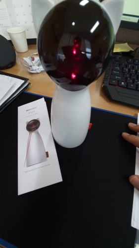 millbill Cat Laser Toy Automatic Interactive for Indoor Cats/Dogs/Kitty photo review