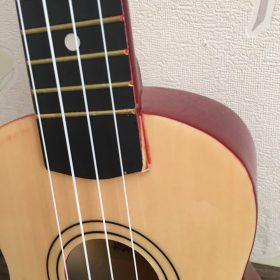 Ukulele for Beginners - Your Perfect Musical Companion photo review