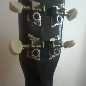 Ukulele for Beginners - Your Perfect Musical Companion photo review