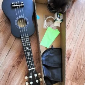 Ukulele for Beginners - Your Perfect Musical Companion photo review