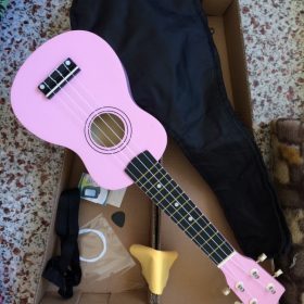 Ukulele for Beginners - Your Perfect Musical Companion photo review