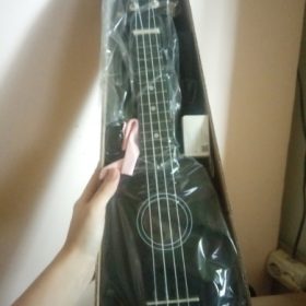 Ukulele for Beginners - Your Perfect Musical Companion photo review