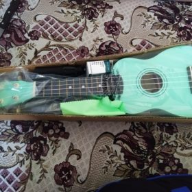 Ukulele for Beginners - Your Perfect Musical Companion photo review