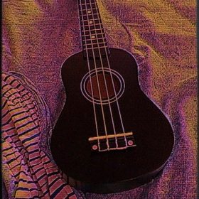 Ukulele for Beginners - Your Perfect Musical Companion photo review