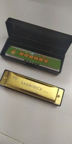 Harmonica-EVHA-20001 photo review