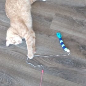 nicebands Cat Dog Chaser Toys, 2in1 Balance Swing Car Toy Stimulate Hunting Instinct Catnip Teaser Toys with Catnip Ball Toys, 2 Pack Cat Stick with Teasing Ball photo review