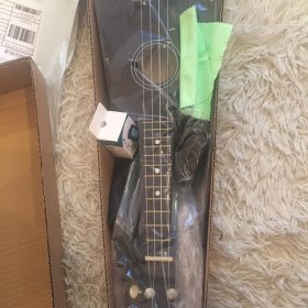 Ukulele for Beginners - Your Perfect Musical Companion photo review