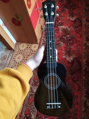 Ukulele for Beginners - Your Perfect Musical Companion photo review