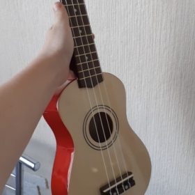 Ukulele for Beginners - Your Perfect Musical Companion photo review