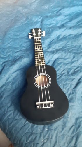 Ukulele for Beginners - Your Perfect Musical Companion photo review