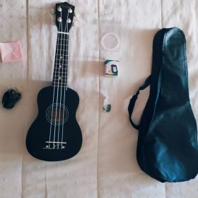Ukulele for Beginners - Your Perfect Musical Companion photo review