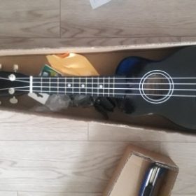 Ukulele for Beginners - Your Perfect Musical Companion photo review