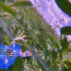 Ukulele for Beginners - Your Perfect Musical Companion photo review