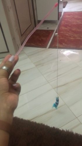 nicebands Cat Dog Chaser Toys, 2in1 Balance Swing Car Toy Stimulate Hunting Instinct Catnip Teaser Toys with Catnip Ball Toys, 2 Pack Cat Stick with Teasing Ball photo review