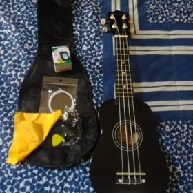 Ukulele for Beginners - Your Perfect Musical Companion photo review