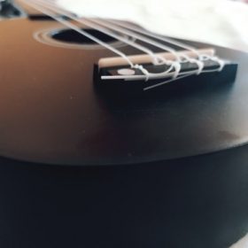 Ukulele for Beginners - Your Perfect Musical Companion photo review