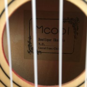 Ukulele for Beginners - Your Perfect Musical Companion photo review