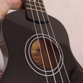 Ukulele for Beginners - Your Perfect Musical Companion photo review