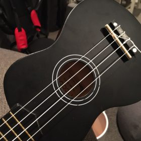 Ukulele for Beginners - Your Perfect Musical Companion photo review