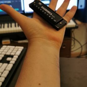 Harmonica-EVHA-20001 photo review