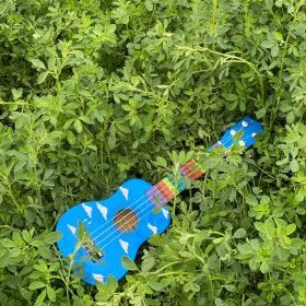 Ukulele for Beginners - Your Perfect Musical Companion photo review