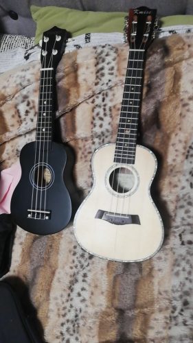 Ukulele for Beginners - Your Perfect Musical Companion photo review