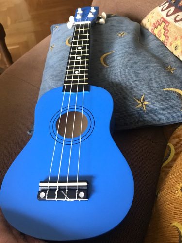 Ukulele for Beginners - Your Perfect Musical Companion photo review