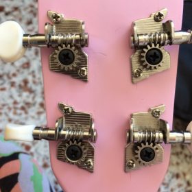 Ukulele for Beginners - Your Perfect Musical Companion photo review