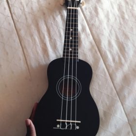 Ukulele for Beginners - Your Perfect Musical Companion photo review
