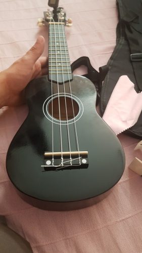 Ukulele for Beginners - Your Perfect Musical Companion photo review