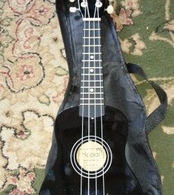 Ukulele for Beginners - Your Perfect Musical Companion photo review