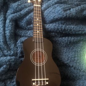 Ukulele for Beginners - Your Perfect Musical Companion photo review