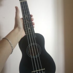 Ukulele for Beginners - Your Perfect Musical Companion photo review