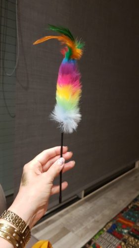 nicebands Cat Dog Chaser Toys, 2in1 Balance Swing Car Toy Stimulate Hunting Instinct Catnip Teaser Toys with Catnip Ball Toys, 2 Pack Cat Stick with Teasing Ball photo review