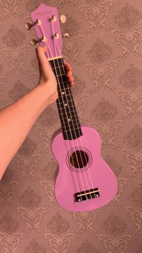 Ukulele for Beginners - Your Perfect Musical Companion photo review