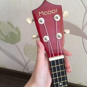 Ukulele for Beginners - Your Perfect Musical Companion photo review