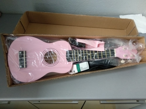 Ukulele for Beginners - Your Perfect Musical Companion photo review