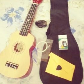 Ukulele for Beginners - Your Perfect Musical Companion photo review