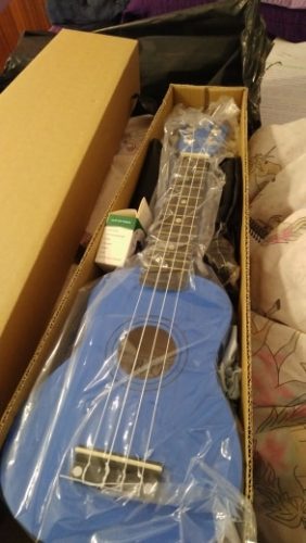 Ukulele for Beginners - Your Perfect Musical Companion photo review