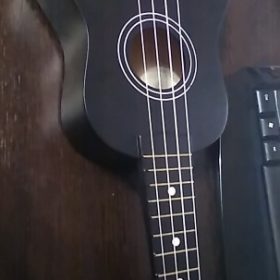 Ukulele for Beginners - Your Perfect Musical Companion photo review