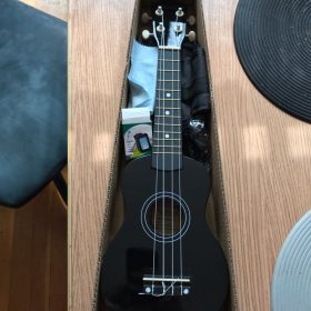 Ukulele for Beginners - Your Perfect Musical Companion photo review